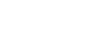 Bolt brand logo