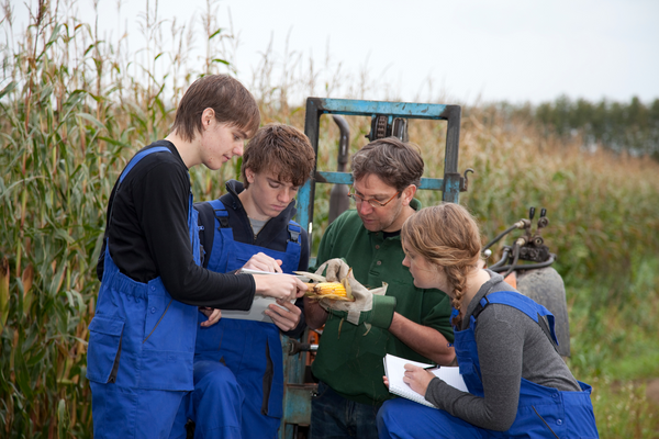 Agricultural students study a plant.